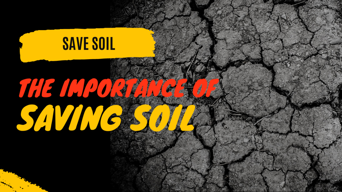 the-importance-of-saving-soil-and-why-we-must-adopt-this-practice