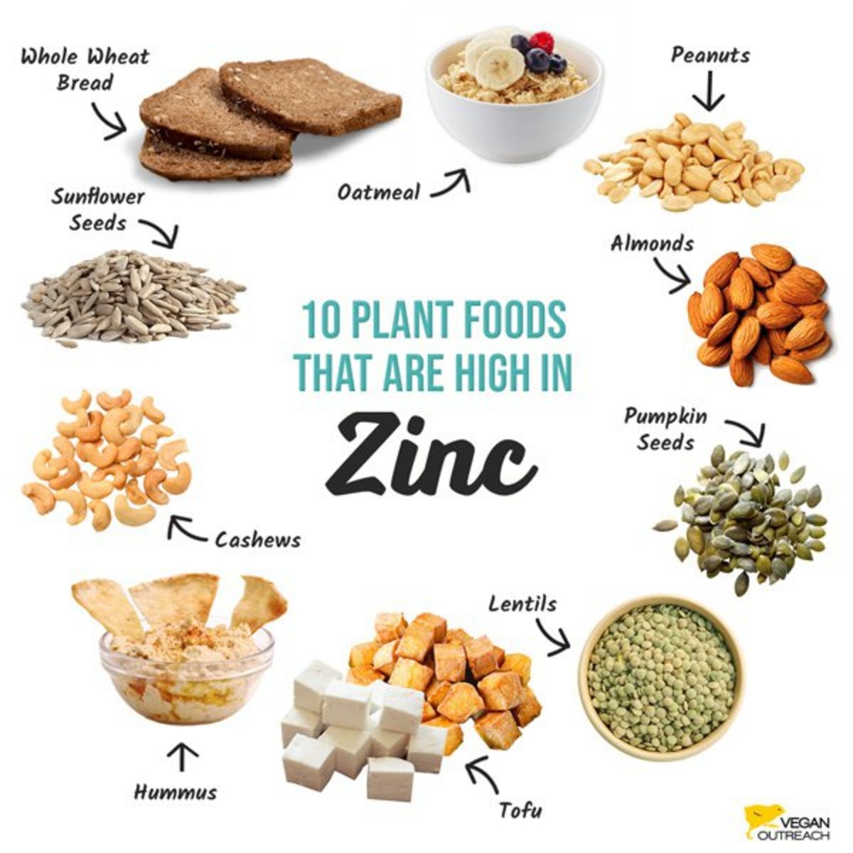 Foods that are high in zinc