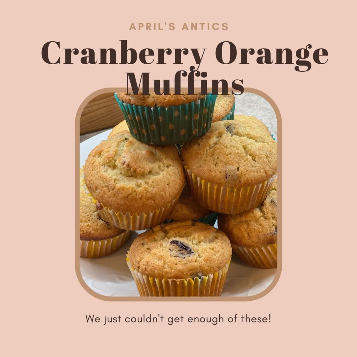 Tangy and Zesty Cranberry Orange Muffins