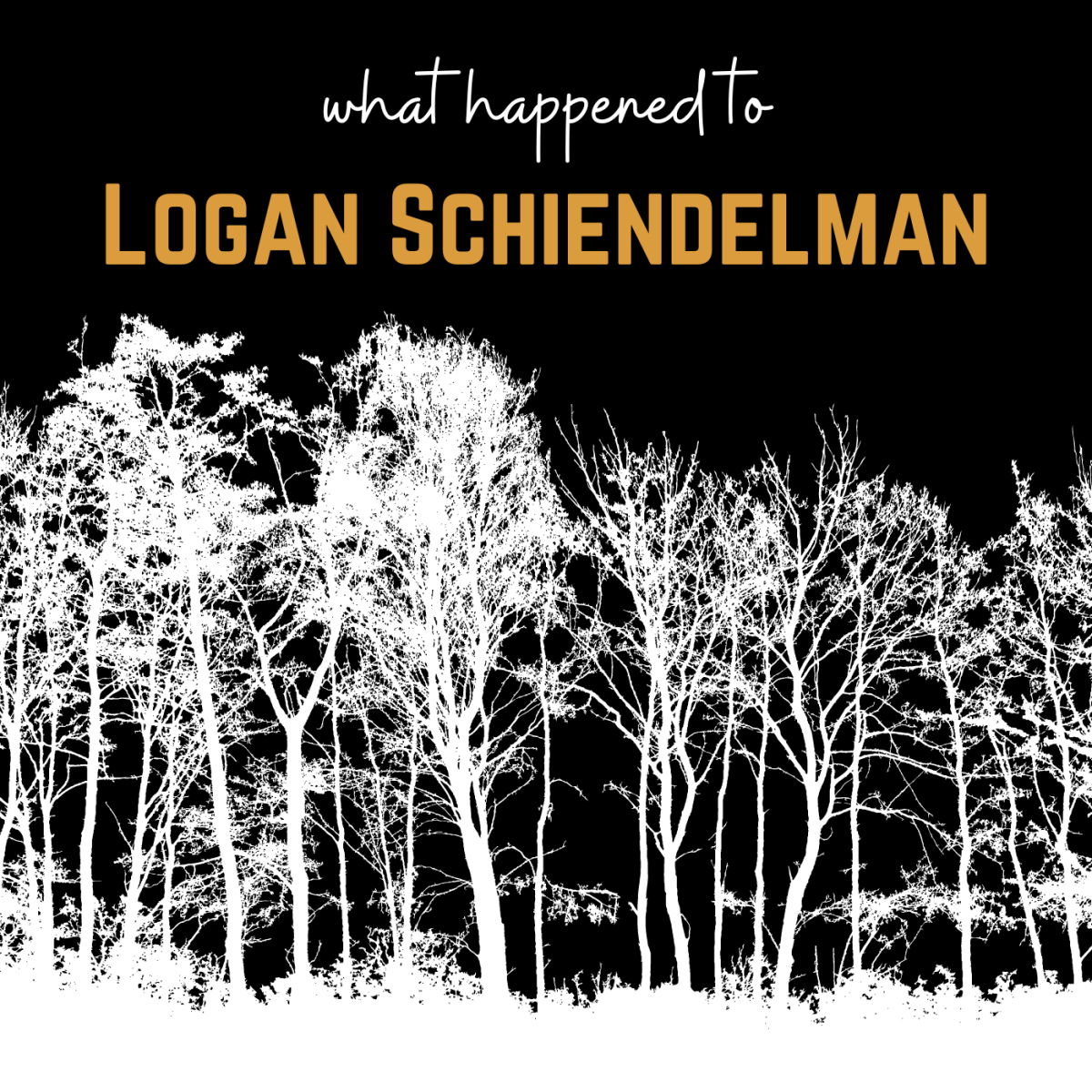 Missing: Logan Schiendelman