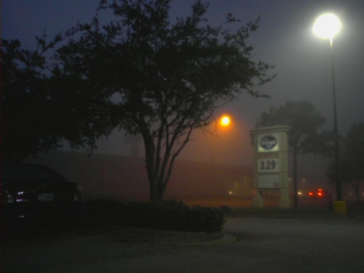 What Is Fog and Why Does it Form?