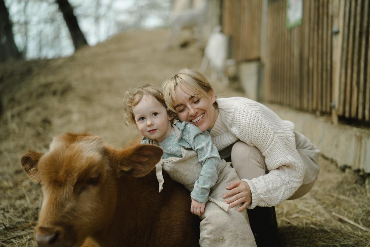 Woman and toddler cuddled against a cow. 