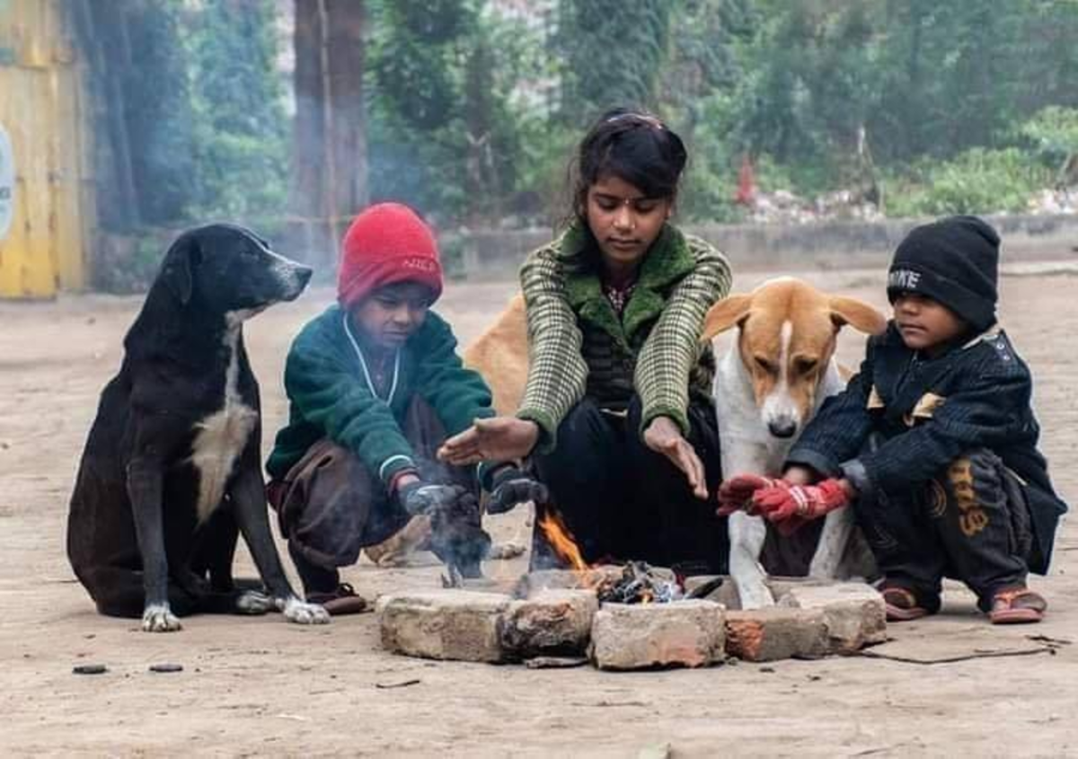 Hindu Dog Superstitions: 12 Auspicious & Inauspicious Signs