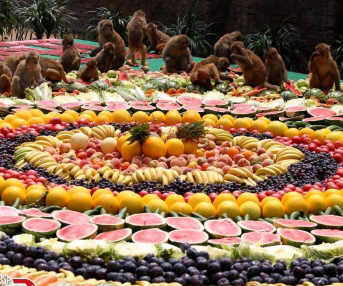 Monkey Buffet in Thailand