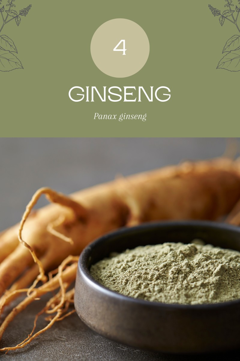 Herbal Teas to Boost Energy and Mood in Winter CalorieBee