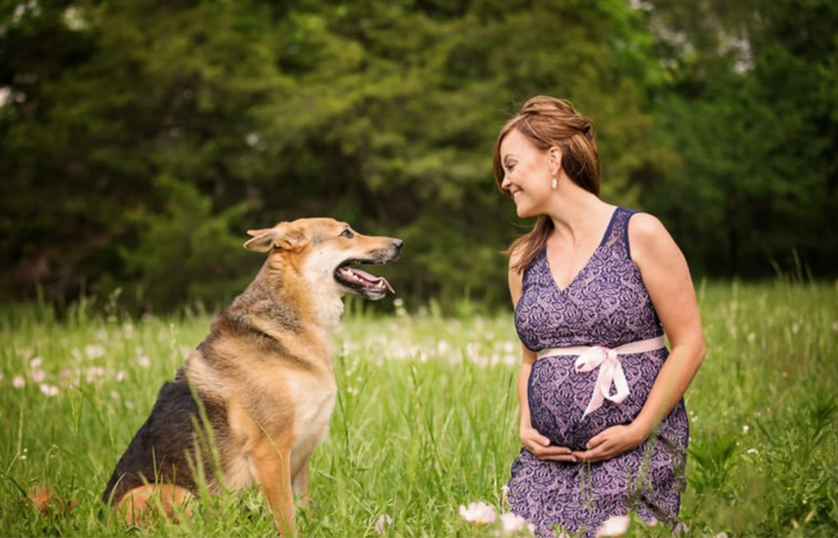 Science-Based Health Benefits of Having a Dog During Pregnancy