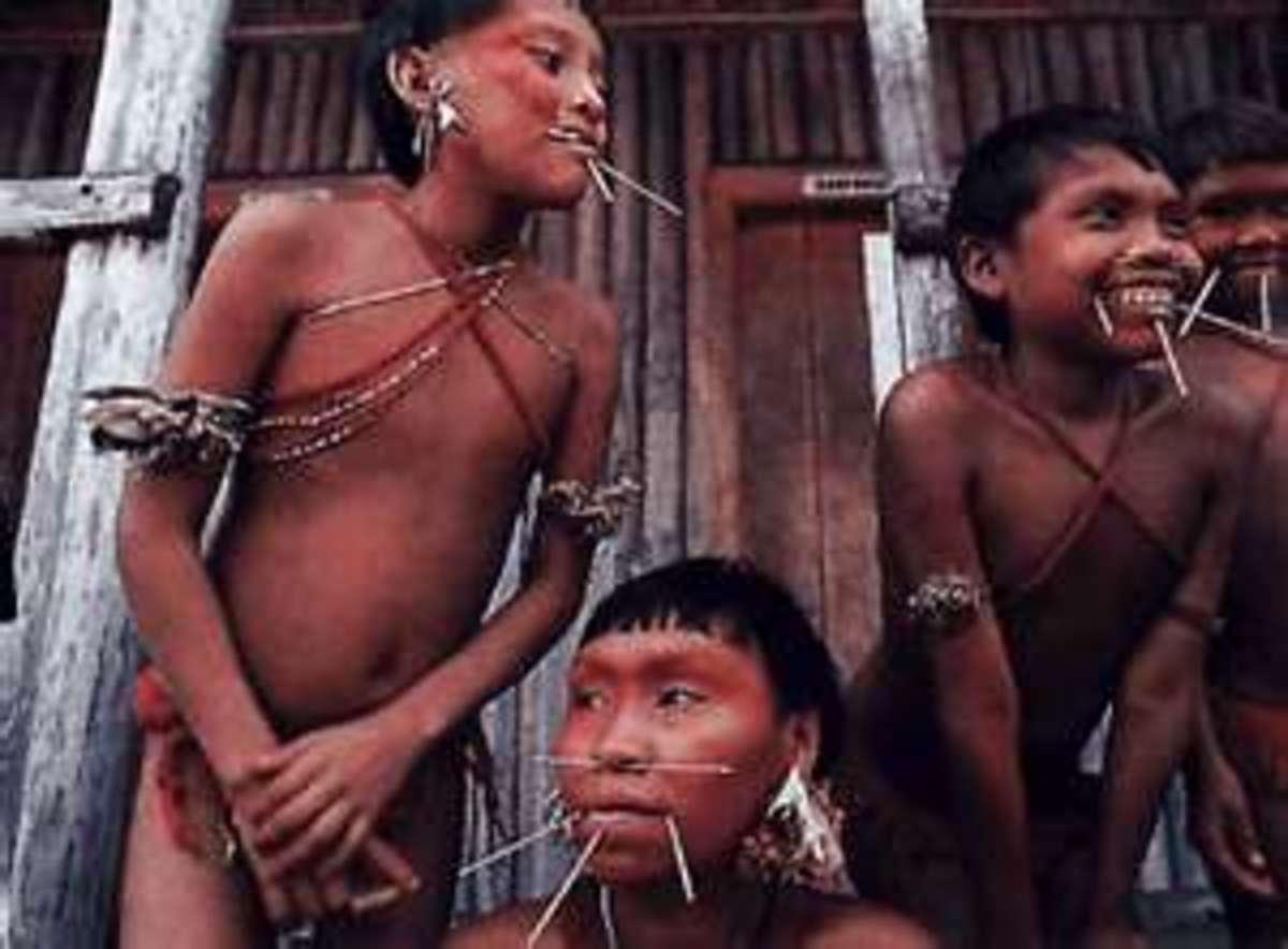 Fierce Behavior of the Yanomamo: Blood, Revenge and Tribal Warfare
