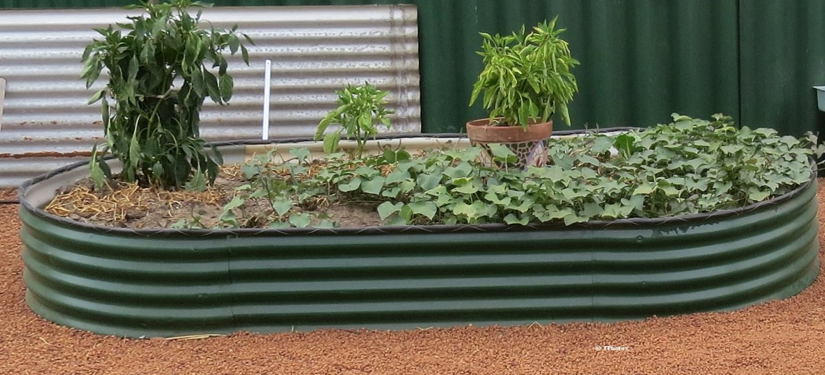 Frugal Gardening:Great Ways to Make Your Own Raised Garden Beds