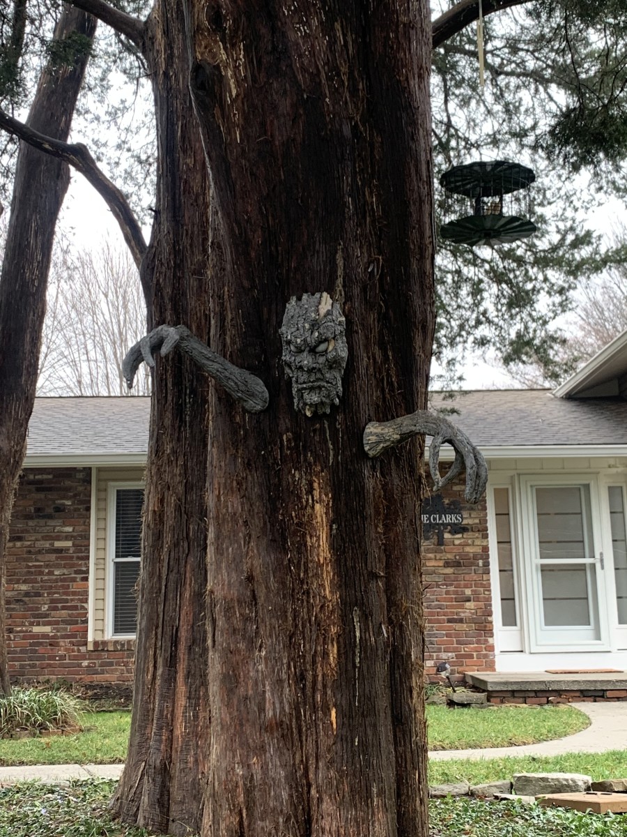 Tree Faces and Forest Faces - HubPages