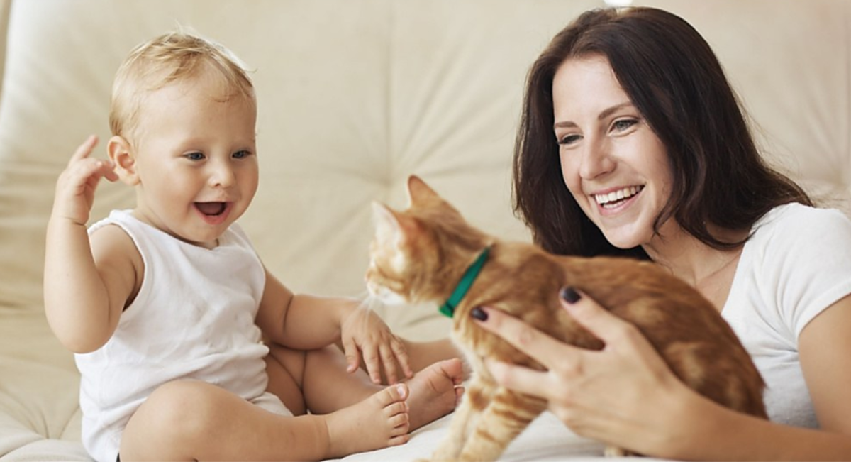 10 Science-Based Health Benefits For Children of Growing Up With Cats