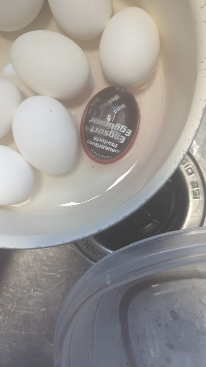 Egg Boiling Using Hammerhead Products Eggsact Timer HubPages egg-boiling-using-hammerhead-products-eggsact-timer-hubpages