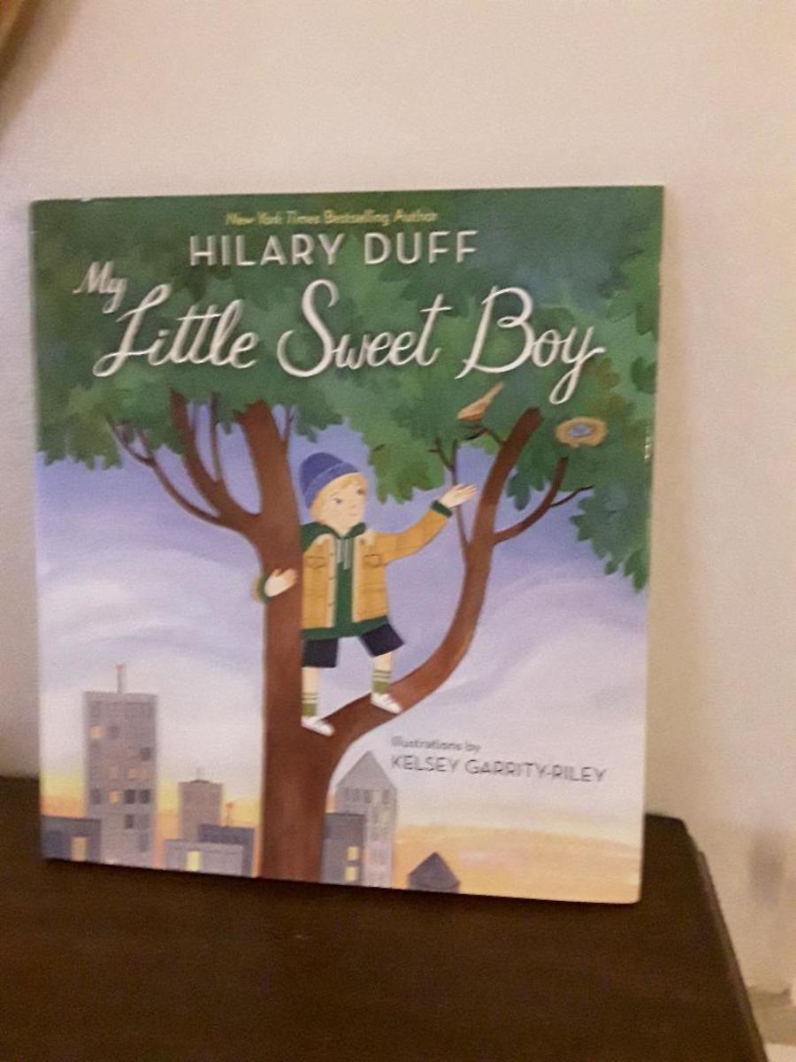 Sons Encouraged and Hopes for Growth in Charming Picture Book from Bestselling Author and Actress Hilary Duff