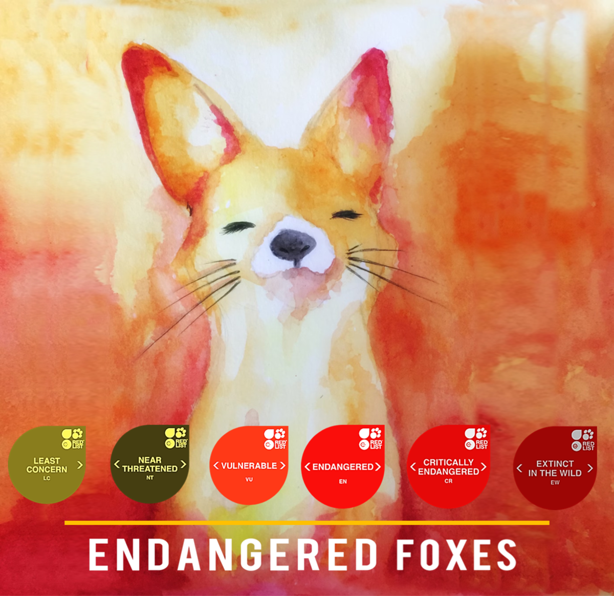 Endangered Foxes