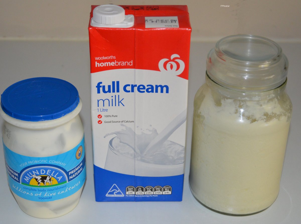 Health: Simple How to Make Yogurt for Cost of Milk
