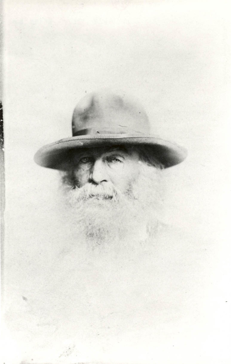 Out of the Cradle Endlessly Rocking by Walt Whitman: A Commentary