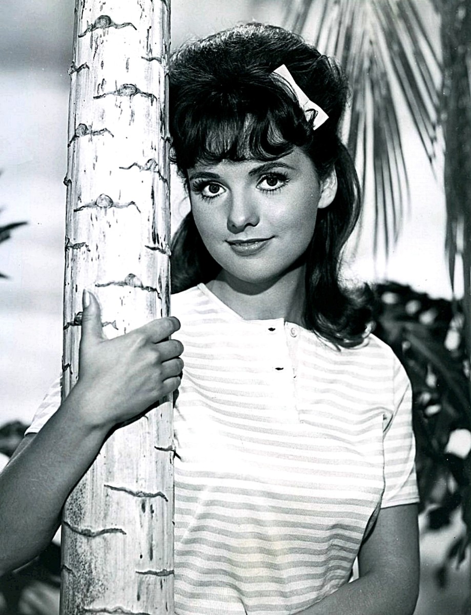 25 Things You Didnt Know About Gilligans Island - HubPages