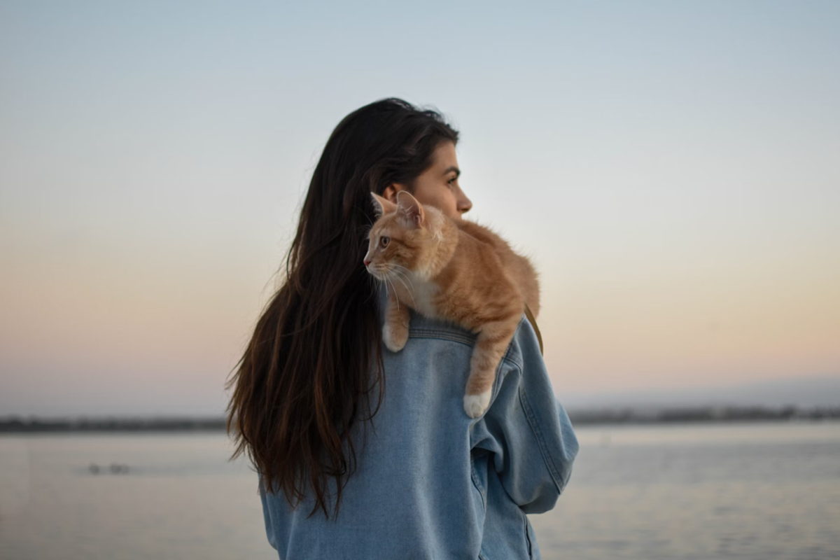 11 Benefits of Having A Cat For Singles Who Live Alone