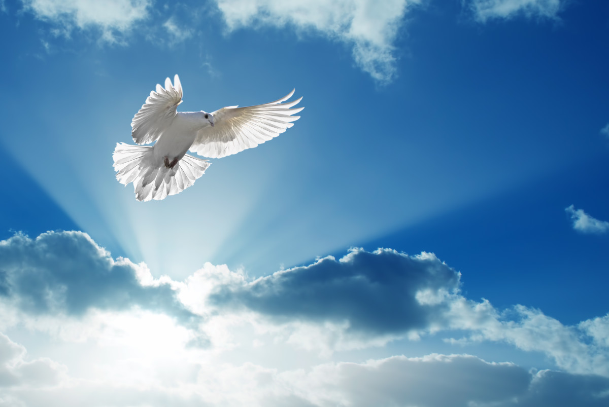 God, the Holy Spirit: His Identity and Work