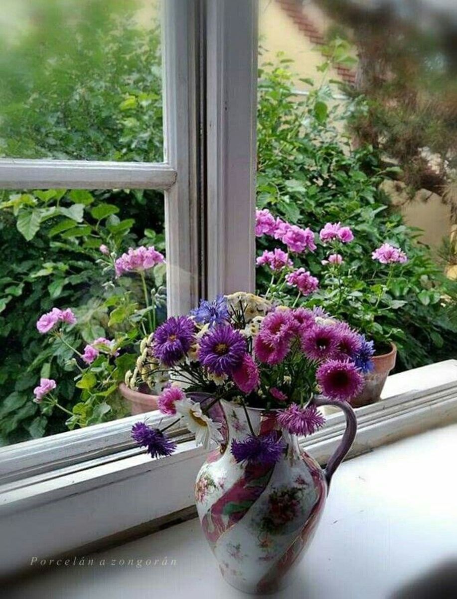 Growing Edible Flowers In Your Window Sill Garden HubPages