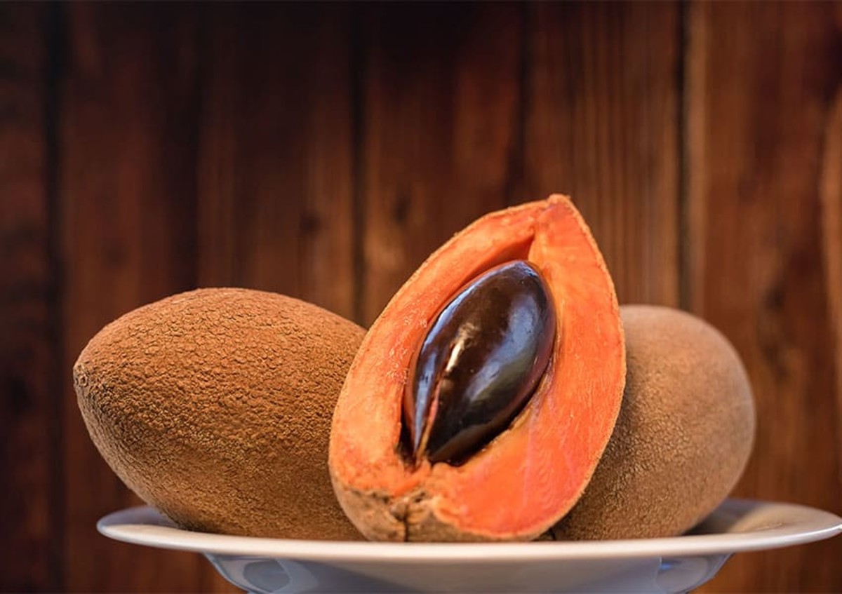 Mamey Sapote Fruit: Nature’s Candy
