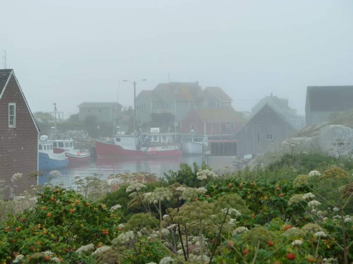 Jasmine's Cove