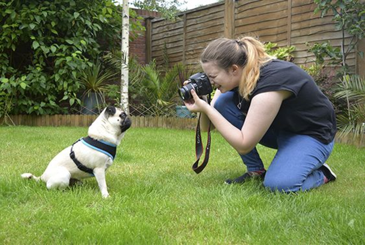 11 Best Companion Dogs for Single Women Living Alone HubPages