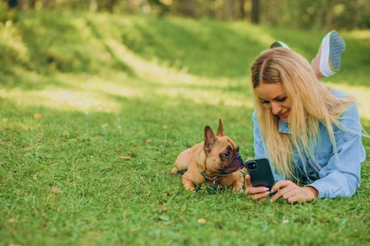 11 Best Companion Dogs for Single Women Living Alone - HubPages