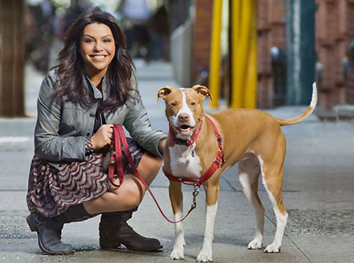 11 Best Personal Security & Protection Dogs For Single Living Women HubPages