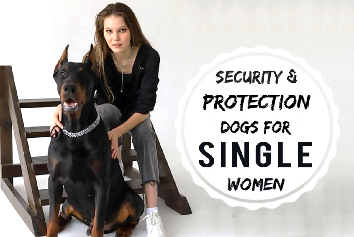 11 Best Personal Security & Protection Dogs For Single Living Women