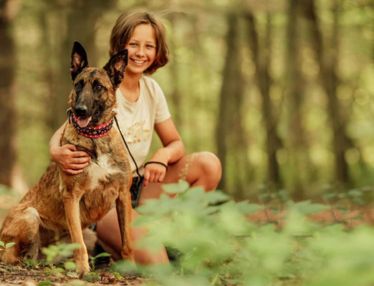 11 Best Personal Security & Protection Dogs For Single Living Women 