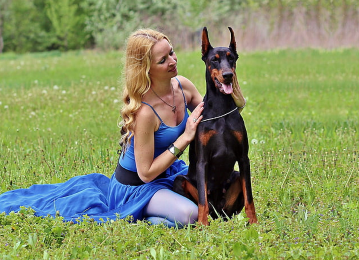 11 Best Personal Security & Protection Dogs For Single Living Women HubPages