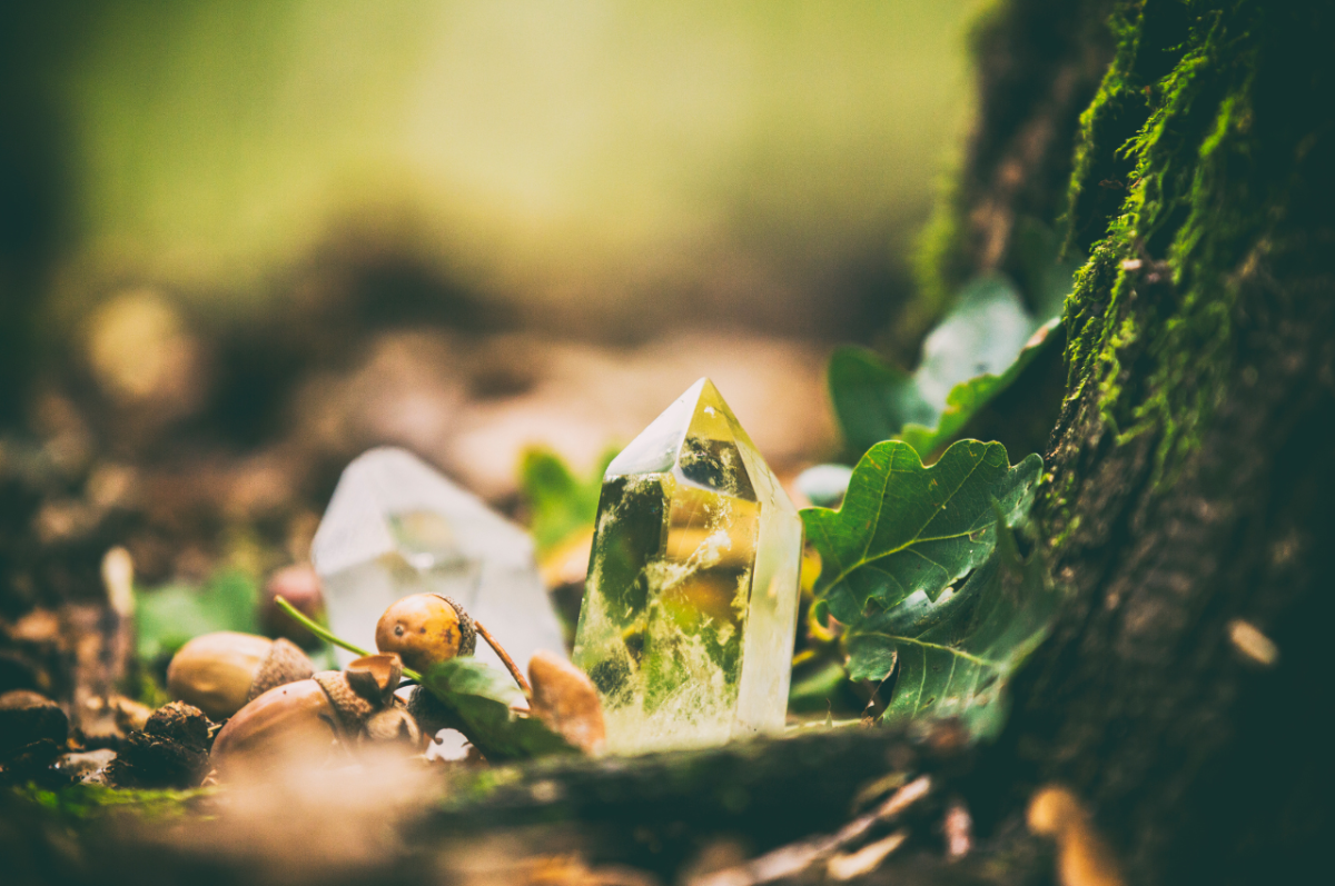 Nature's Tree Spirits 5 Steps to Making a Connection Exemplore