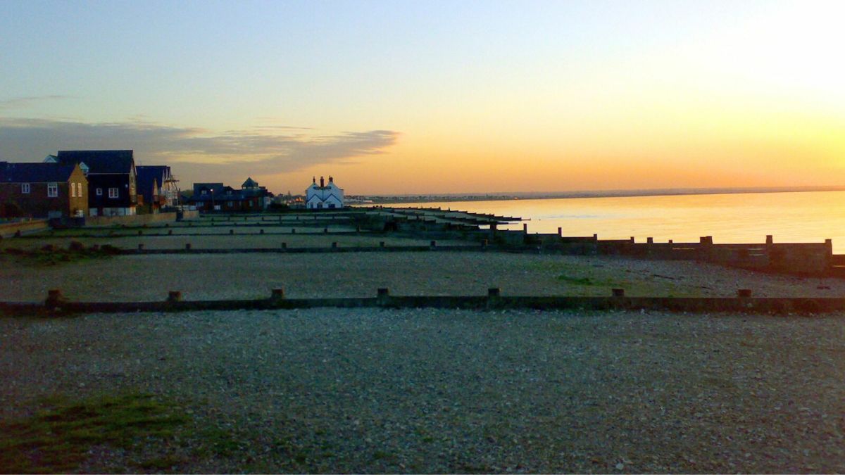 How Dog-Friendly Is Whitstable Beach in the UK?