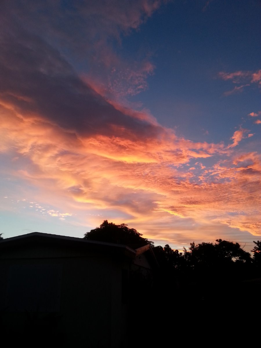 Thankful for the Light