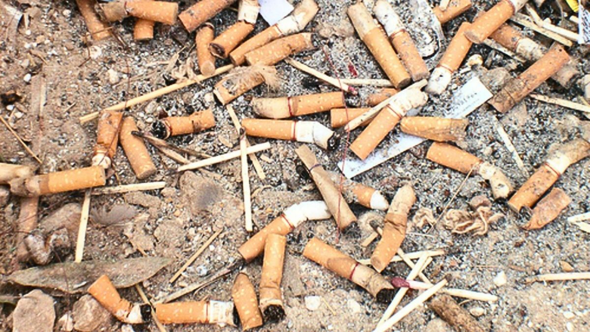 The Toxic Trash of Cigarette Butts