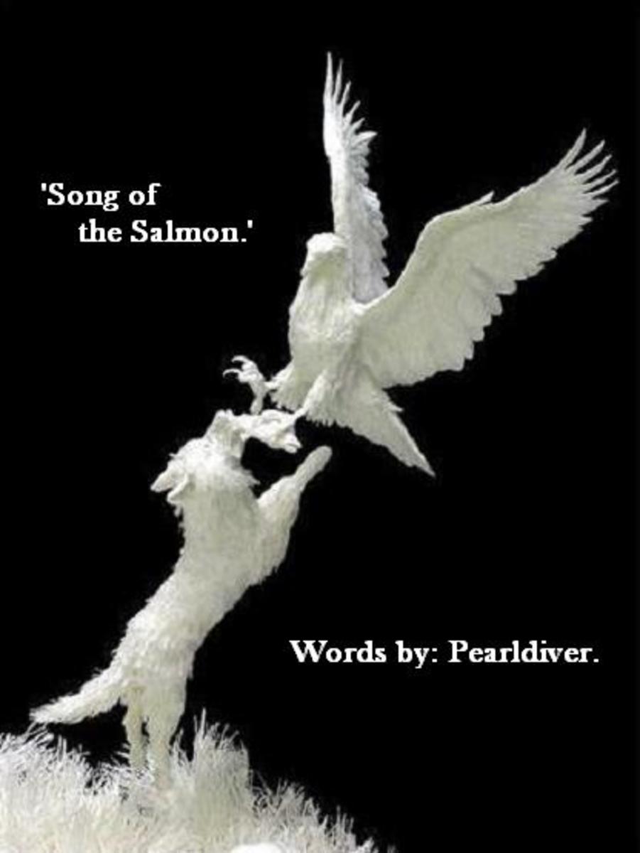 Song of the Salmon: A Full Life Circle of Hope