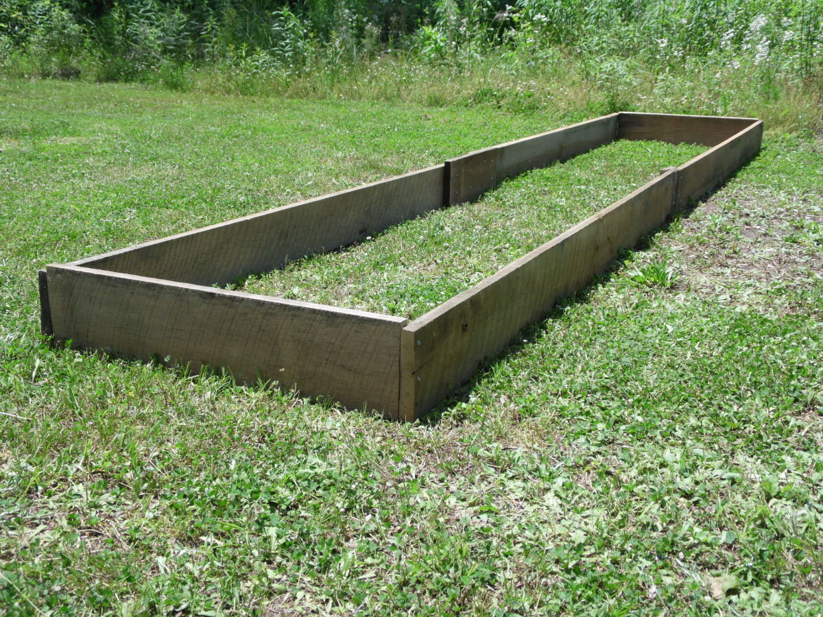 Build a Raised Bed Garden With Weed Control