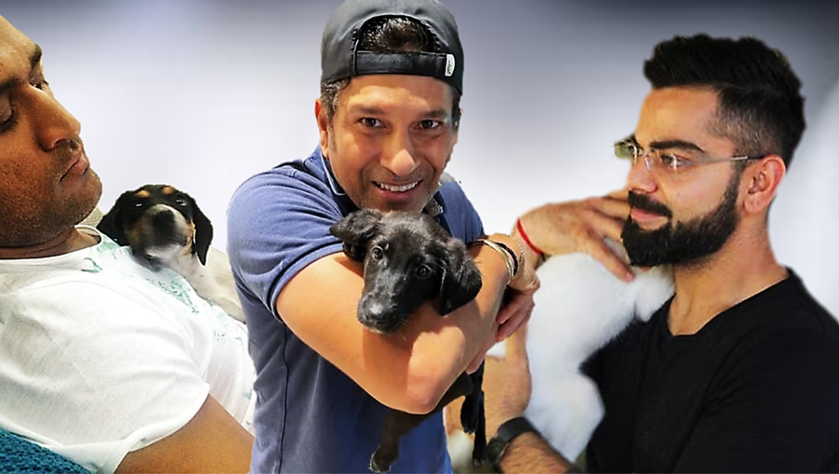 Indian Cricketers Who Adopted Indie (Desi) Dogs