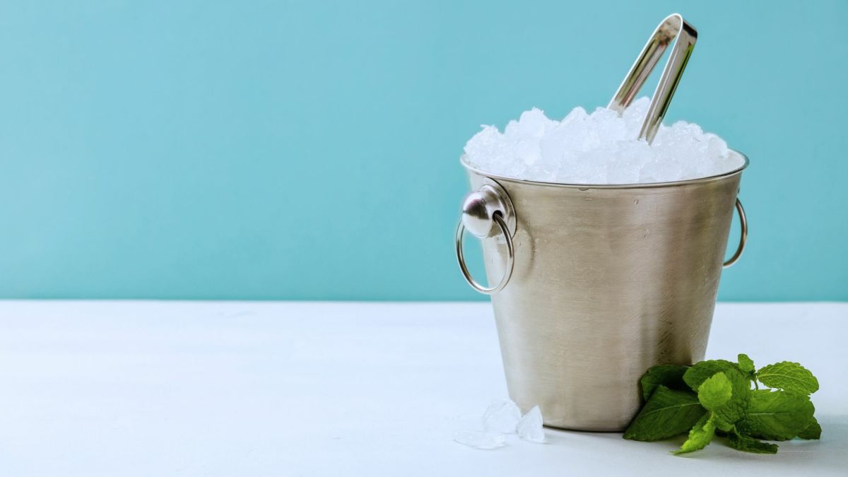 6 Creative Uses for Ice Buckets: Repurpose Your Old Bucket!