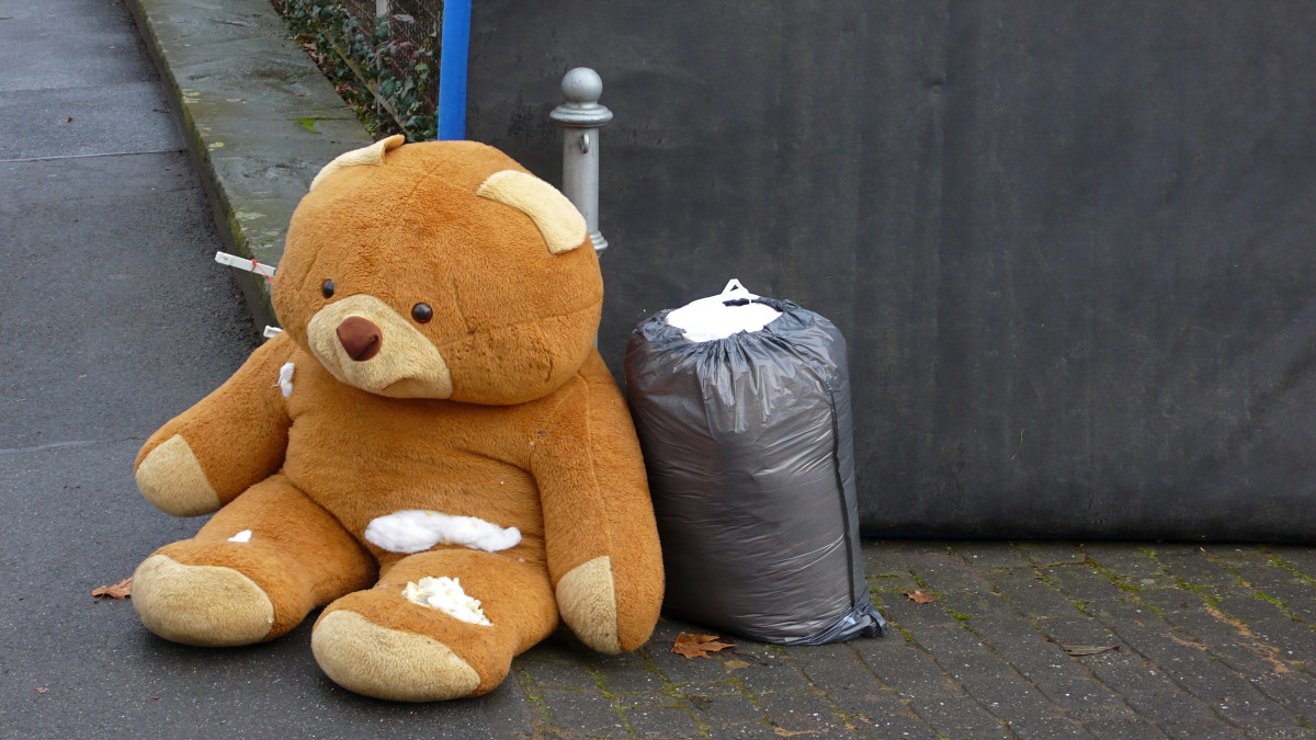 The Discarded Teddy Bear