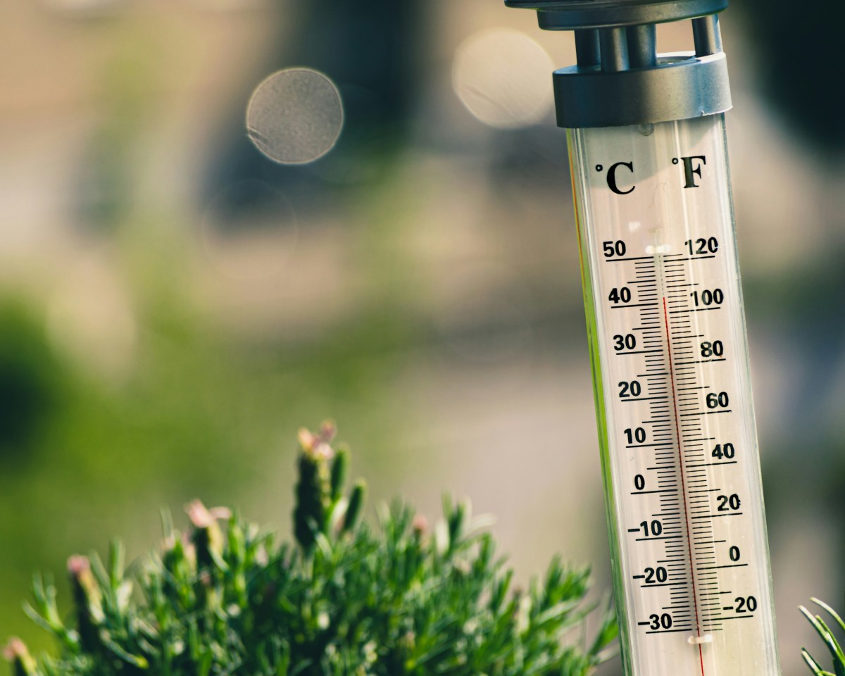 What Temperature Do Your Seedlings Really Need?