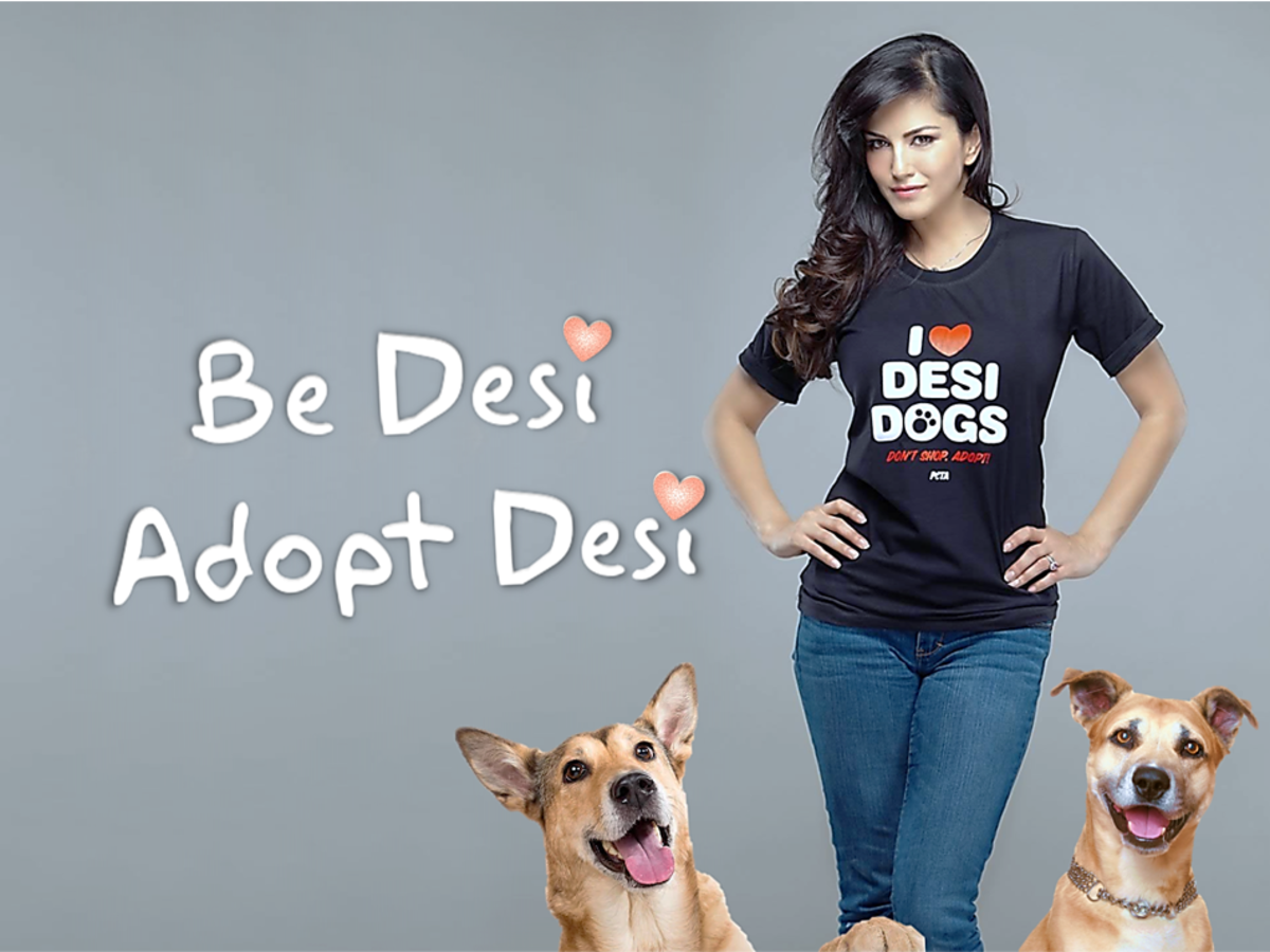 15 Indian Bollywood Celebs Who Adopted Indie Dog (Desi Kutta)