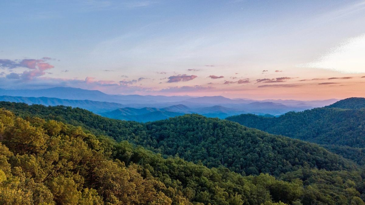 The Top 20 Must-See Places in Tennessee