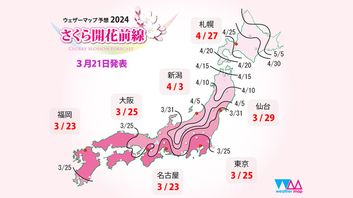 Cherry Blossom Forecast 2024: Looking Forward to “Sakura” Season