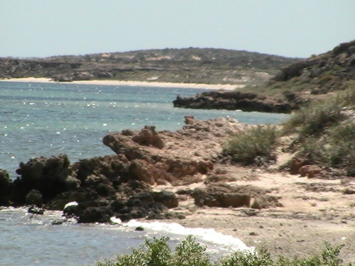 Visit the World Heritage Area of Shark Bay for a great Holiday Vacation