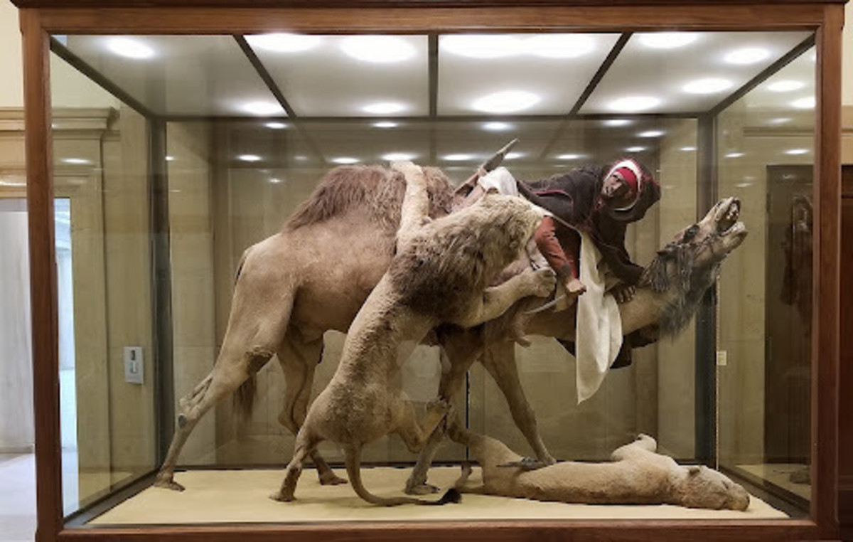 When a Famous Diorama Has Human Remains