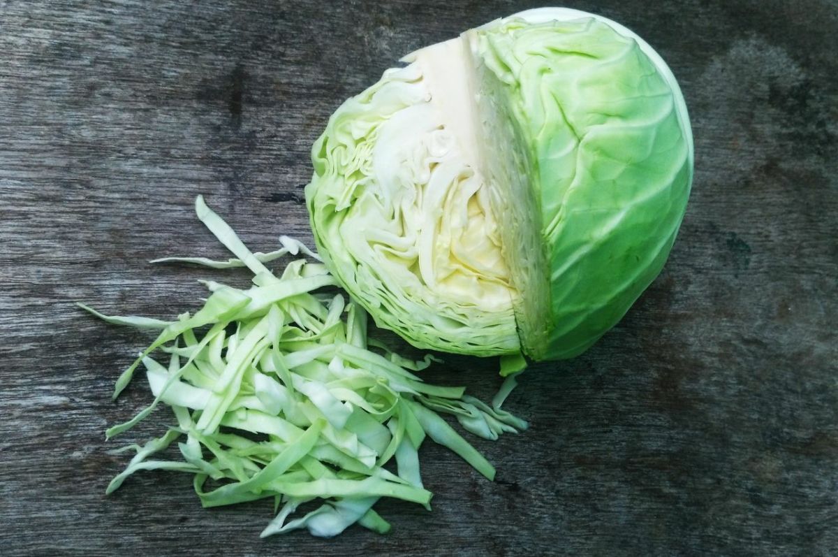 Nutritional Benefits of Cabbage (With Recipes)