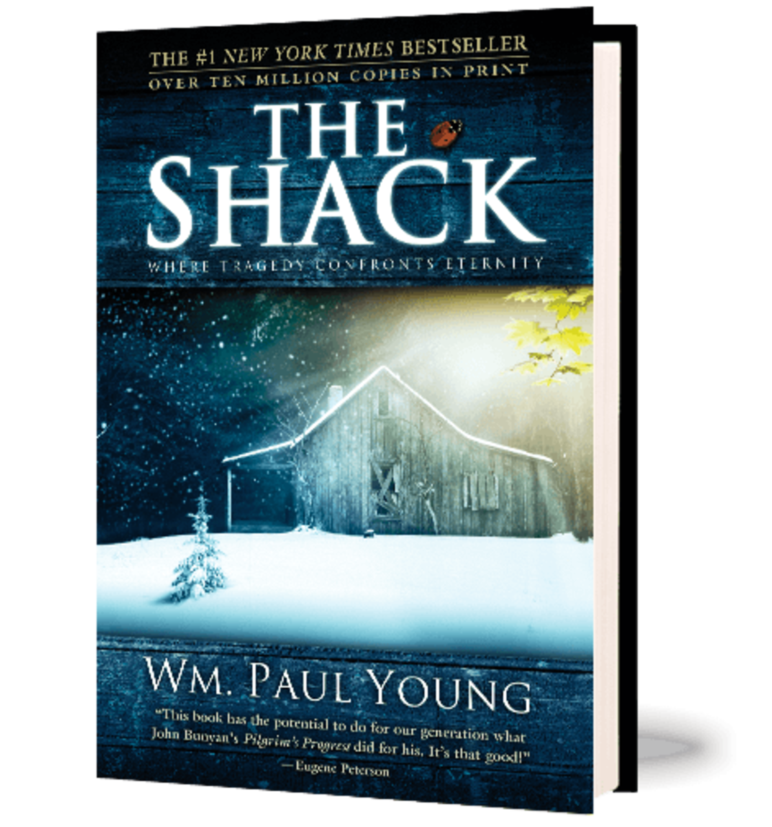 Dialogues With God- The Shack (Book Review)