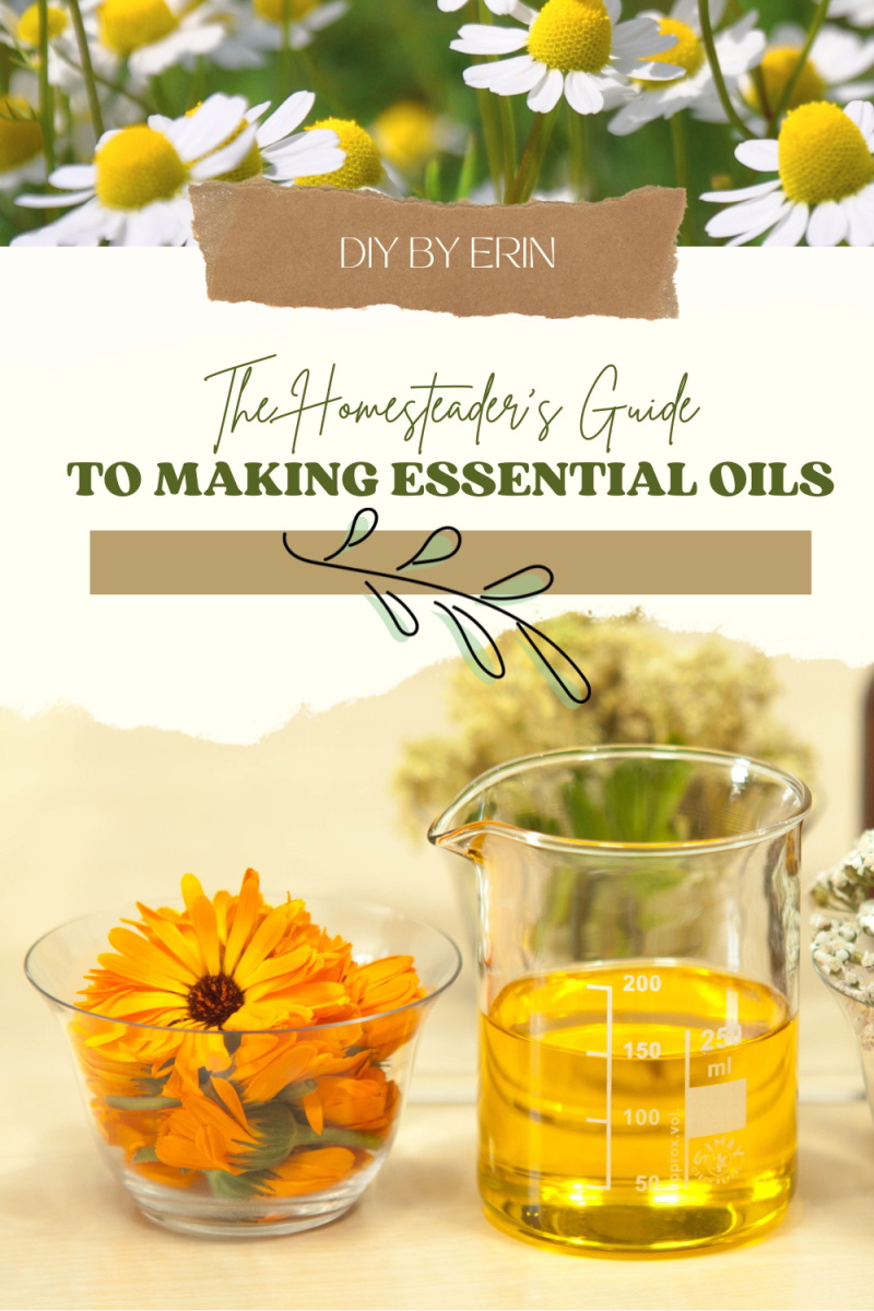 The Homesteader's Guide to Making Essential Oils
