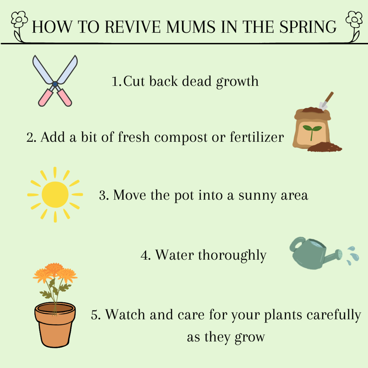 How to Care for Mums in Spring Dengarden